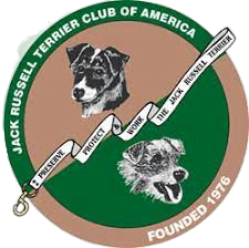 South coast jack russell shop terrier club